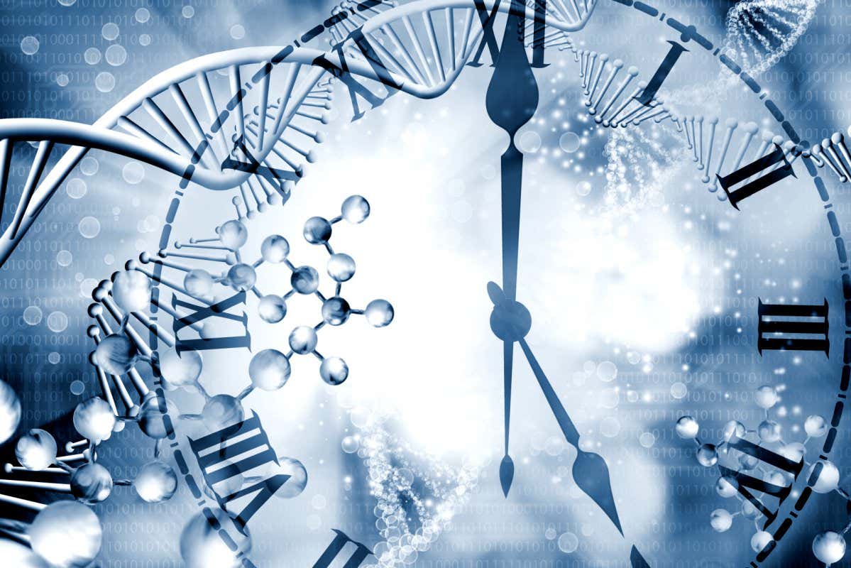 Image of a stylised clock face on gene code background
