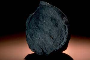 The Murchison meteorite