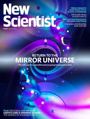 New Scientist Default Image