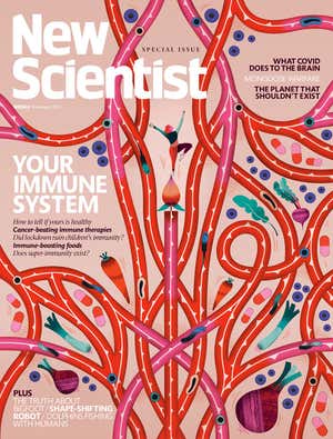 New Scientist Default Image