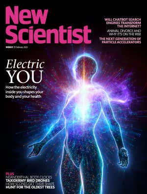 New Scientist Default Image