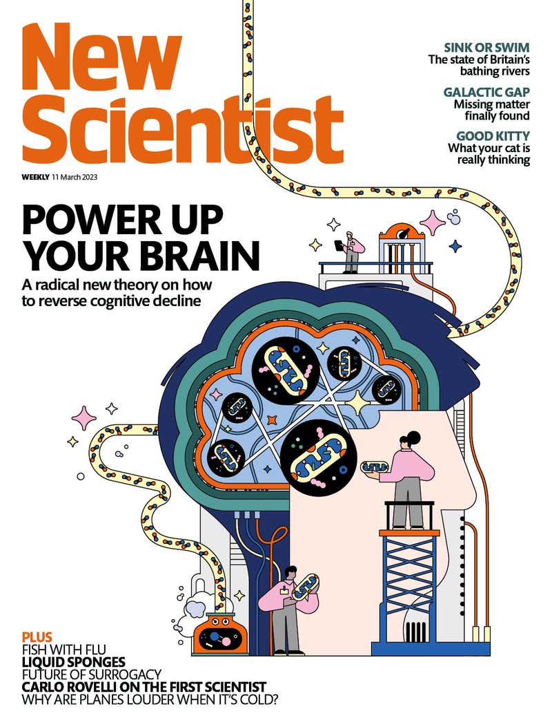 New Scientist Default Image