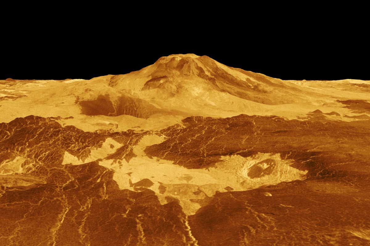 Venus - 3D Perspective View of Maat Mons Photojournal: PIA00106 Source: NASA/JPL Published: May 10, 2004 Maat Mons is displayed in this computer generated three-dimensional perspective of the surface of Venus. The viewpoint is located 634 kilometers (393 miles) north of Maat Mons at an elevation of 3 kilometers (2 miles) above the terrain. Lava flows extend for hundreds of kilometers across the fractured plains shown in the foreground, to the base of Maat Mons. The view is to the south with the volcano Maat Mons appearing at the center of the image on the horizon and rising to almost 5 kilometers (3 miles) above the surrounding terrain. Maat Mons is located at approximately 0.9 degrees north latitude, 194.5 degrees east longitude with a peak that ascends to 8 kilometers (5 miles) above the mean surface. Maat Mons is named for an Egyptian Goddess of truth and justice. Magellan synthetic aperture radar data is combined with radar altimetry to develop a three-dimensional map of the surface. The vertical scale in this perspective has been exaggerated 10 times. Rays cast in a computer intersect the surface to crate a three-dimensional perspective view. Simulated color and a digital elevation map developed by the U.S. Geological Survey are used to enhance small-scale structure. The simulated hues are based on color images recorded by the Soviet Venera 13 and 14 spacecraft. The image was produced by the Solar System Visualization project and the Magellan Science team at the JPL Multimission Image Processing Laboratory and is a single frame from a video released at the April 22, 1992 news conference.