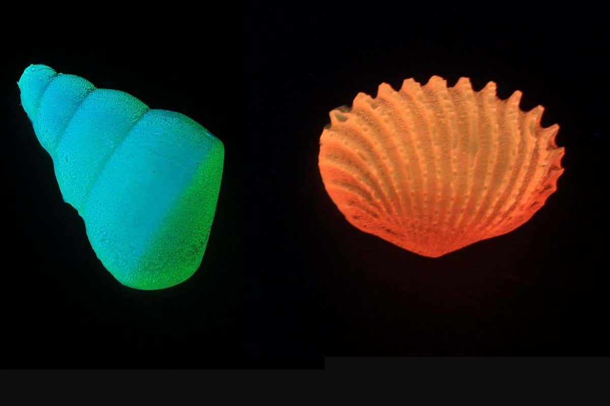Fluorescent objects created using glass made from melted amino acids