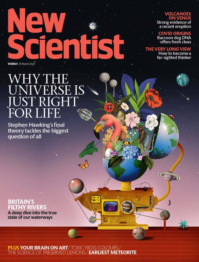 New Scientist Default Image