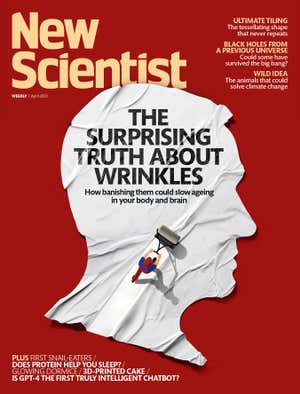New Scientist Default Image