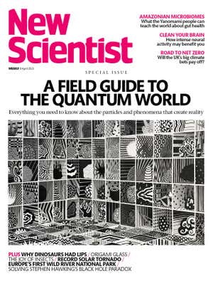 New Scientist Default Image