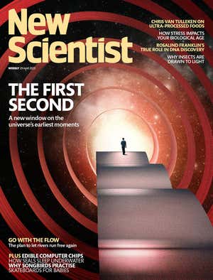 New Scientist Default Image