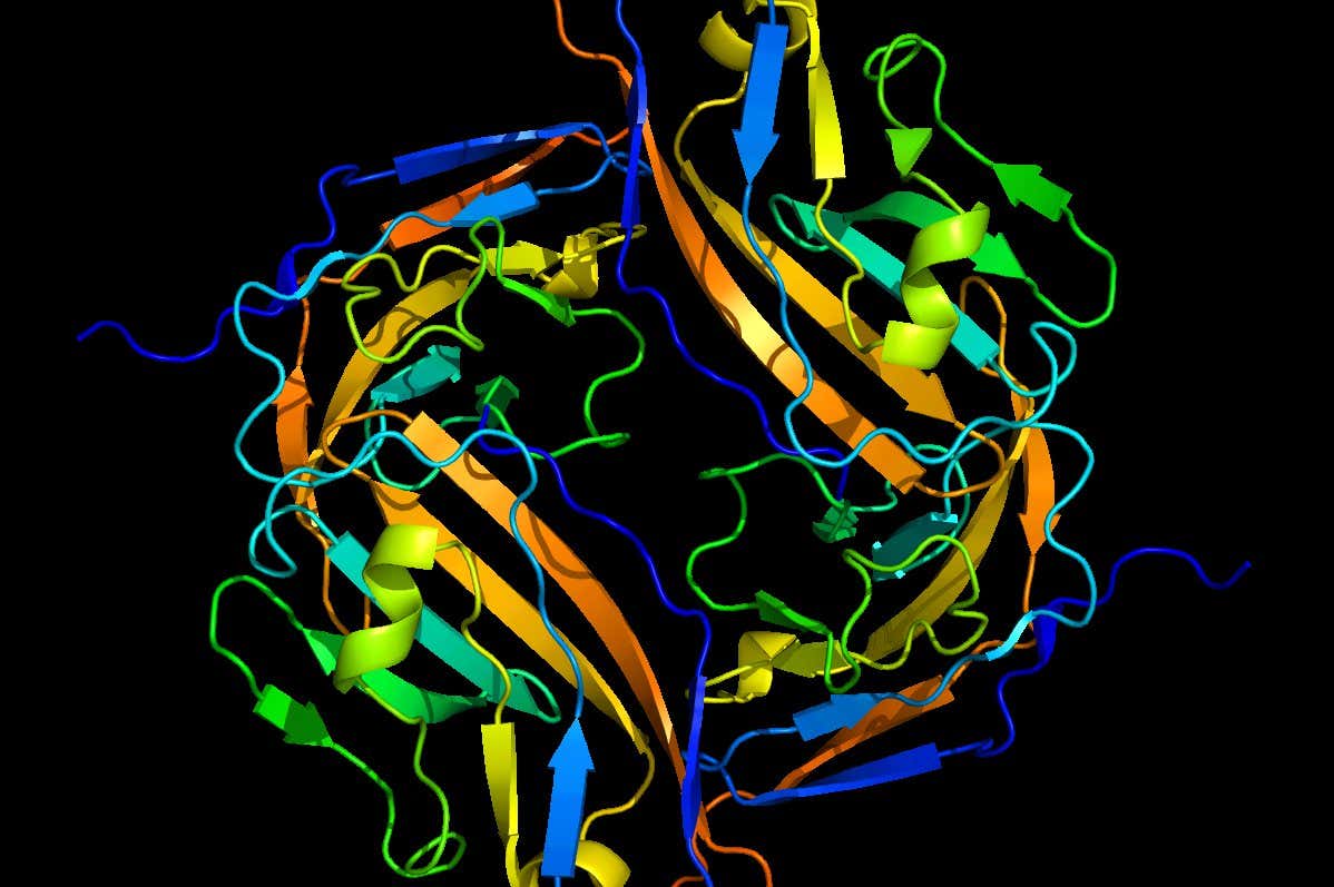 The CD47 molecule, which tells the immune system not to attack