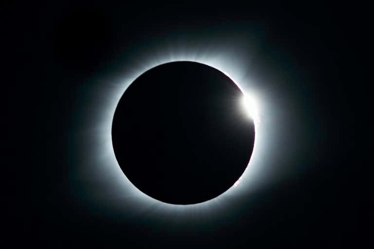 New Scientist Default Image