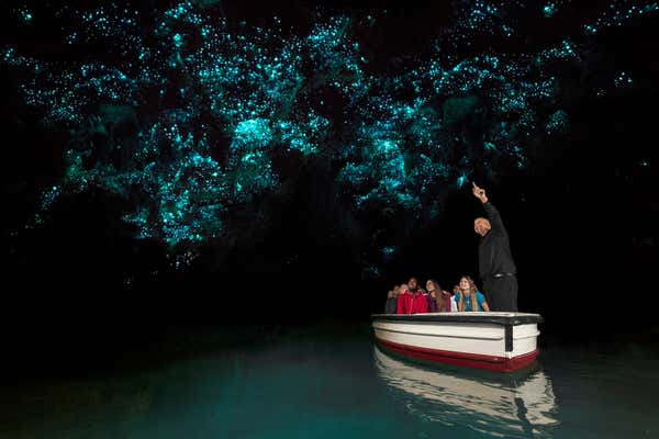 New Scientist Default Image